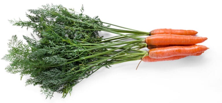 Dieta eliminacyjna – kiedy warto wykluczyć określone produkty?